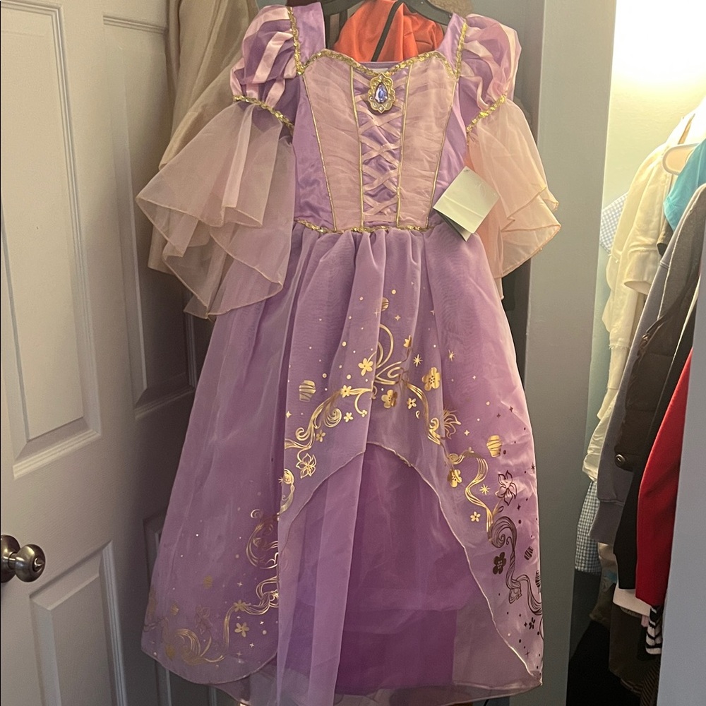 Disney Pink and Gold Kids Costume